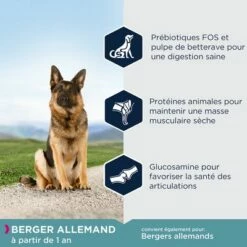Eukanuba Adult Breed Specific Berger Allemand Pour Chien -Aanbiedingen Zooplus Winkel 8710255120393 3
