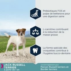 Eukanuba Adult Breed Specific Jack Russell Terrier Pour Chien -Aanbiedingen Zooplus Winkel 8710255120454 6