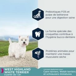 Eukanuba Breed Specific West Highland White Terrier Pour Chien 8 Eukanuba Breed Specific West Highland White Terrier Pour Chien -Aanbiedingen Zooplus Winkel 8710255120560 0