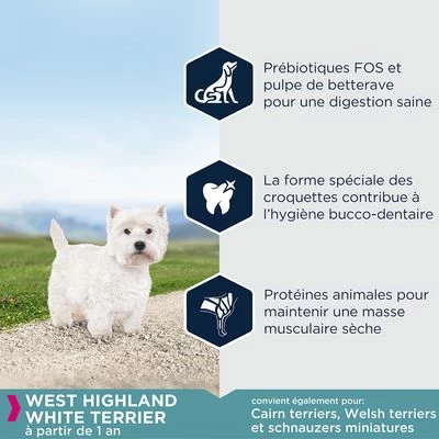 Eukanuba Breed Specific West Highland White Terrier Pour Chien 3 Eukanuba Breed Specific West Highland White Terrier Pour Chien - Afbeelding 3