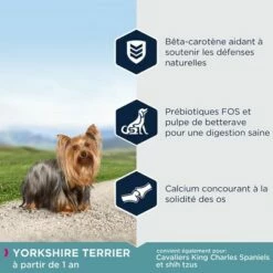 Eukanuba Adult Breed Specific Yorkshire Terrier Pour Chien 8 Eukanuba Adult Breed Specific Yorkshire Terrier Pour Chien -Aanbiedingen Zooplus Winkel 8710255120591 5