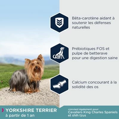 Eukanuba Adult Breed Specific Yorkshire Terrier Pour Chien 3 Eukanuba Adult Breed Specific Yorkshire Terrier Pour Chien - Afbeelding 3
