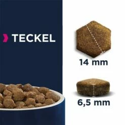 Eukanuba Adult Breed Specific Teckel Pour Chien 8 Eukanuba Adult Breed Specific Teckel Pour Chien -Aanbiedingen Zooplus Winkel 8710255122090 4