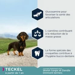 Eukanuba Adult Breed Specific Teckel Pour Chien 7 Eukanuba Adult Breed Specific Teckel Pour Chien -Aanbiedingen Zooplus Winkel 8710255122090 7