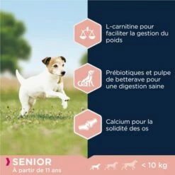 Eukanuba Caring Senior Small Breed Poulet Pour Chien -Aanbiedingen Zooplus Winkel 8710255145839 4 3