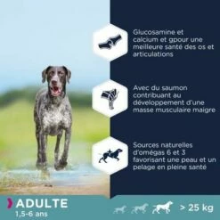 Eukanuba Grain Free Adult Large Breed Avec Du Saumon Pour Chien -Aanbiedingen Zooplus Winkel 87102551847842 6