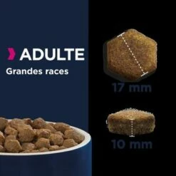 Eukanuba Grain Free Adult Large Breed Avec Du Saumon Pour Chien -Aanbiedingen Zooplus Winkel 87102551847844 5