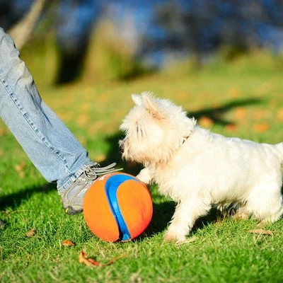 Balle Kick Fetch Chuckit! Pour Chien 2 Balle Kick Fetch Chuckit! Pour Chien - Afbeelding 2