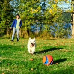 Balle Kick Fetch Chuckit! Pour Chien 9 Balle Kick Fetch Chuckit! Pour Chien -Aanbiedingen Zooplus Winkel 99703 petmate chuckit kick fetch large hs 04 9