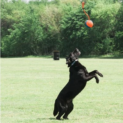 Balle Rope Fetch Chuckit! Pour Chien 2 Balle Rope Fetch Chuckit! Pour Chien - Afbeelding 2
