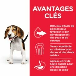 Hill's Science Plan Puppy <1 Medium Agneau, Riz Pour Chiot 8 Hill's Science Plan Puppy <1 Medium Agneau, Riz Pour Chiot -Aanbiedingen Zooplus Winkel atf8 604353 key benefits 5