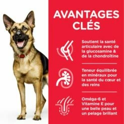 Hill's Science Plan Mature Adult 6+ Large Poulet Pour Chien 8 Hill's Science Plan Mature Adult 6+ Large Poulet Pour Chien -Aanbiedingen Zooplus Winkel atf8 604371 key benefits 1