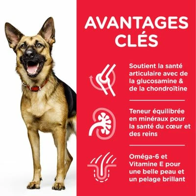 Hill's Science Plan Mature Adult 6+ Large Poulet Pour Chien 3 Hill's Science Plan Mature Adult 6+ Large Poulet Pour Chien - Afbeelding 3
