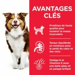 Hill's Science Plan Mature Adult 7+ Medium Poulet Pour Chien 8 Hill's Science Plan Mature Adult 7+ Medium Poulet Pour Chien -Aanbiedingen Zooplus Winkel atf8 604378 key benefits 2