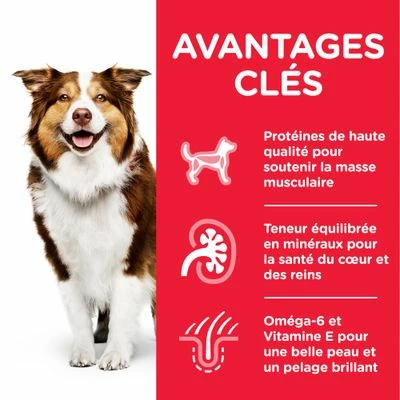 Hill's Science Plan Mature Adult 7+ Medium Poulet Pour Chien 3 Hill's Science Plan Mature Adult 7+ Medium Poulet Pour Chien - Afbeelding 3