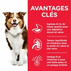 Hill's Science Plan Mature Adult 7+ Medium Agneau, Riz Pour Chien 8 Hill's Science Plan Mature Adult 7+ Medium Agneau, Riz Pour Chien -Aanbiedingen Zooplus Winkel atf8 604379 key benefits 8
