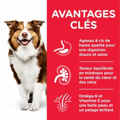 Hill's Science Plan Mature Adult 7+ Medium Agneau, Riz Pour Chien 3 Hill's Science Plan Mature Adult 7+ Medium Agneau, Riz Pour Chien - Afbeelding 3