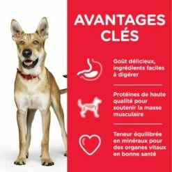 Hill's Science Plan Adult 1+ Performance Poulet Pour Chien 7 Hill's Science Plan Adult 1+ Performance Poulet Pour Chien -Aanbiedingen Zooplus Winkel atf8 604383 key benefits 9