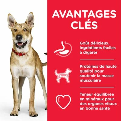 Hill's Science Plan Adult 1+ Performance Poulet Pour Chien 3 Hill's Science Plan Adult 1+ Performance Poulet Pour Chien - Afbeelding 3