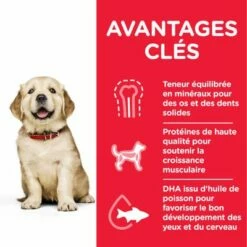 Hill's Science Plan Puppy <1 Large Poulet Pour Chiot 7 Hill's Science Plan Puppy <1 Large Poulet Pour Chiot -Aanbiedingen Zooplus Winkel atf8 604386 key benefits 7