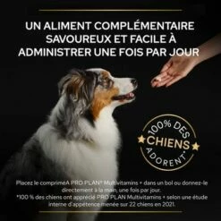 PRO PLAN Adult Multivitamins+ Supplement Comprimés Pour Chien -Aanbiedingen Zooplus Winkel atf multivitamins dog tile 3 fr 220523 1 7