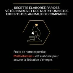 PRO PLAN Adult Multivitamins+ Supplement Comprimés Pour Chien -Aanbiedingen Zooplus Winkel atf multivitamins dog tile 4 fr 220530 2 3