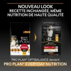 PURINA PRO PLAN Medium Adult Everyday Nutrition Pour Chien 13 PURINA PRO PLAN Medium Adult Everyday Nutrition Pour Chien -Aanbiedingen Zooplus Winkel b00y9ssi1w pt01 5