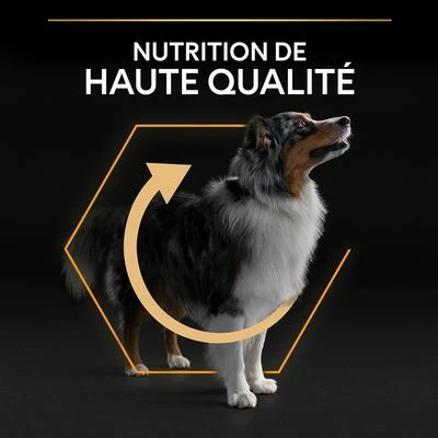 PURINA PRO PLAN Medium Adult Everyday Nutrition Pour Chien 5 PURINA PRO PLAN Medium Adult Everyday Nutrition Pour Chien - Afbeelding 5