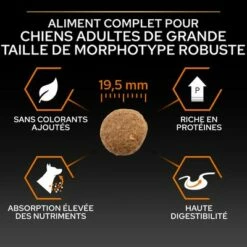 PURINA PRO PLAN Large Robust Adult Everyday Nutrition Pour Chien 15 PURINA PRO PLAN Large Robust Adult Everyday Nutrition Pour Chien -Aanbiedingen Zooplus Winkel b00y9ssx4y pt04 7