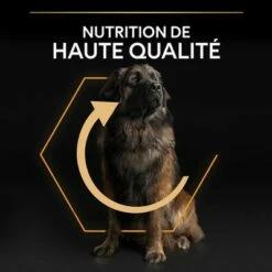PURINA PRO PLAN Large Robust Adult Everyday Nutrition Pour Chien 12 PURINA PRO PLAN Large Robust Adult Everyday Nutrition Pour Chien -Aanbiedingen Zooplus Winkel b00y9ssx4y pt05 8