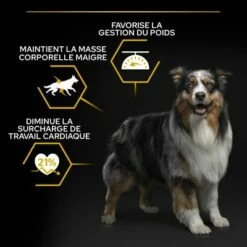 PURINA PRO PLAN All Sizes Adult Light/Sterilised Pour Chien 15 PURINA PRO PLAN All Sizes Adult Light/Sterilised Pour Chien -Aanbiedingen Zooplus Winkel b00y9stlb8 pt02 5