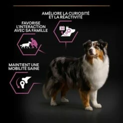 PURINA PRO PLAN Medium & Large Adult 7+ Age Defence Pour Chien 13 PURINA PRO PLAN Medium & Large Adult 7+ Age Defence Pour Chien -Aanbiedingen Zooplus Winkel b00y9su022 pt02 7