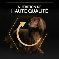 PURINA PRO PLAN Small & Mini Adult Everyday Nutrition Pour Chien 12 PURINA PRO PLAN Small & Mini Adult Everyday Nutrition Pour Chien -Aanbiedingen Zooplus Winkel b00y9su0ea pt05 0