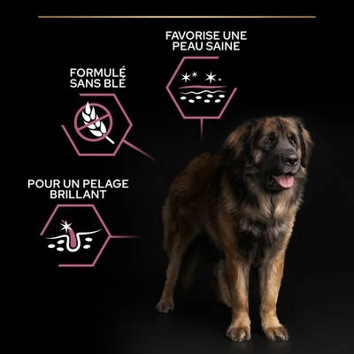 PURINA PRO PLAN Large Robust Adult Sensitive Skin Saumon Pour Chien 5 PURINA PRO PLAN Large Robust Adult Sensitive Skin Saumon Pour Chien - Afbeelding 5