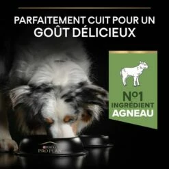 PURINA PRO PLAN Medium Adult Sensitive Digestion Agneau, Riz Pour Chien 14 PURINA PRO PLAN Medium Adult Sensitive Digestion Agneau, Riz Pour Chien -Aanbiedingen Zooplus Winkel b01mu14zby pt03 1