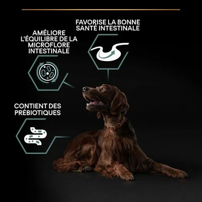 PURINA PRO PLAN Large Adult Athletic Sensitive Digestion Agneau, Riz Pour Chien 5 PURINA PRO PLAN Large Adult Athletic Sensitive Digestion Agneau, Riz Pour Chien - Afbeelding 5