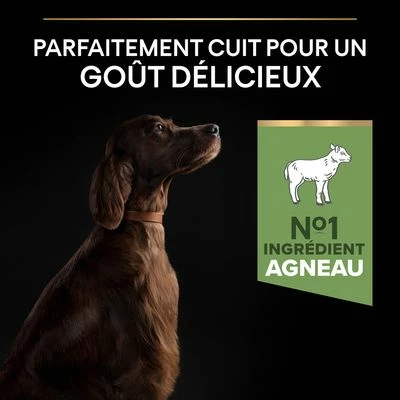 PURINA PRO PLAN Large Adult Athletic Sensitive Digestion Agneau, Riz Pour Chien 6 PURINA PRO PLAN Large Adult Athletic Sensitive Digestion Agneau, Riz Pour Chien - Afbeelding 6