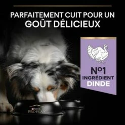 PURINA PRO PLAN Medium & Large Adult Sensitive Digestion Sans Céréales Pour Chien 14 PURINA PRO PLAN Medium & Large Adult Sensitive Digestion Sans Céréales Pour Chien -Aanbiedingen Zooplus Winkel b07nd5tw84 pt03 4