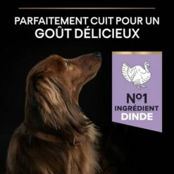 PURINA PRO PLAN Small & Mini Adult Sensitive Digestion Sans Céréales 14 PURINA PRO PLAN Small & Mini Adult Sensitive Digestion Sans Céréales -Aanbiedingen Zooplus Winkel b07nd615y2 pt03 9
