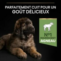 PURINA PRO PLAN Large Robust Puppy Sensitive Digestion Agneau Pour Chien 14 PURINA PRO PLAN Large Robust Puppy Sensitive Digestion Agneau Pour Chien -Aanbiedingen Zooplus Winkel b081yf7rbg pt03 7