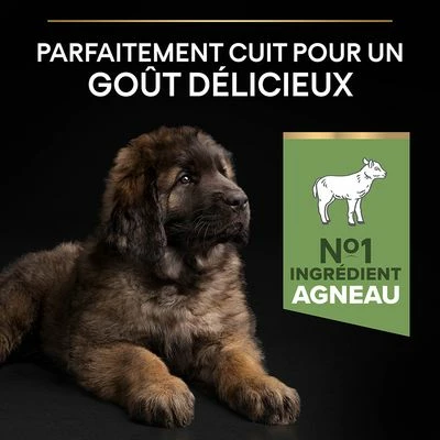 PURINA PRO PLAN Large Robust Puppy Sensitive Digestion Agneau Pour Chien 6 PURINA PRO PLAN Large Robust Puppy Sensitive Digestion Agneau Pour Chien - Afbeelding 6