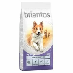 Briantos Adult Active Pour Chien