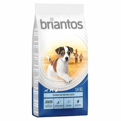 Croquettes Briantos 12 / 14 Kg Pour Chien + Barkoo Dental Snacks Medium 180 G En Cadeau ! 13 Croquettes Briantos 12 / 14 Kg Pour Chien + Barkoo Dental Snacks Medium 180 G En Cadeau ! - Afbeelding 13