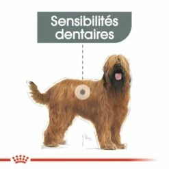 Royal Canin Maxi Dental Care Pour Chien -Aanbiedingen Zooplus Winkel dentalmaxi 1 2