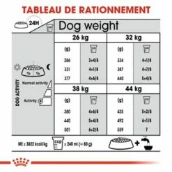 Royal Canin Maxi Dental Care Pour Chien -Aanbiedingen Zooplus Winkel dentalmaxi 4 3