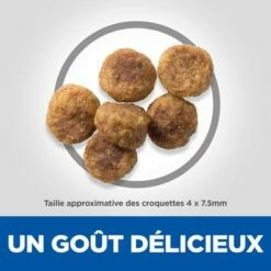 Hill's Science Plan Adult 1-6 Small & Mini Agneau, Riz Pour Chien 10 Hill's Science Plan Adult 1-6 Small & Mini Agneau, Riz Pour Chien -Aanbiedingen Zooplus Winkel fr dog adult s m lamb kibbles 1 0