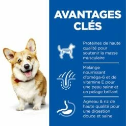 Hill's Science Plan Adult 1-6 Small & Mini Agneau, Riz Pour Chien 11 Hill's Science Plan Adult 1-6 Small & Mini Agneau, Riz Pour Chien -Aanbiedingen Zooplus Winkel fr dog adult s m lamb transition benefits 1 5