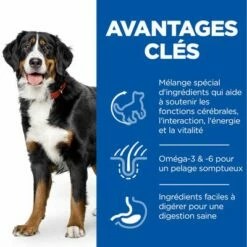 Hill's Science Plan Mature Adult Senior Vitality Large Poulet Pour Chien 12 Hill's Science Plan Mature Adult Senior Vitality Large Poulet Pour Chien -Aanbiedingen Zooplus Winkel fr dog ma large yv chicken transition benefits 9
