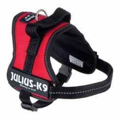 Julius K9 Harnais JULIUS-K9® Power, Rouge Pour Chien 7 Julius K9 Harnais JULIUS-K9® Power, Rouge Pour Chien -Aanbiedingen Zooplus Winkel geschirre 51 5