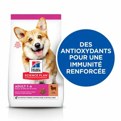 Hill's Science Plan Adult 1-6 Small & Mini Agneau, Riz Pour Chien - Afbeelding 2